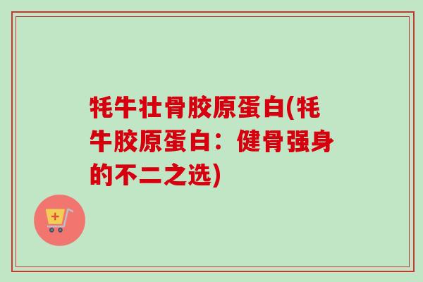 牦牛壮骨胶原蛋白(牦牛胶原蛋白：健骨强身的不二之选)