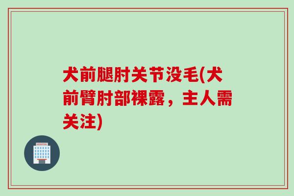 犬前腿肘关节没毛(犬前臂肘部裸露，主人需关注)