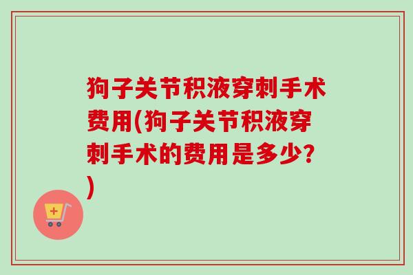 狗子关节积液穿刺手术费用(狗子关节积液穿刺手术的费用是多少？)