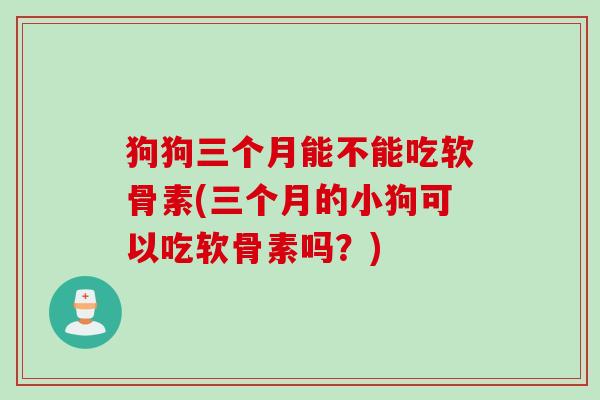 狗狗三个月能不能吃软骨素(三个月的小狗可以吃软骨素吗？)
