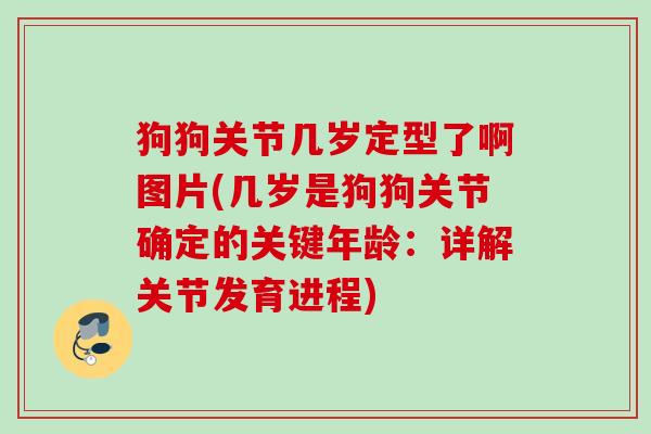 狗狗关节几岁定型了啊图片(几岁是狗狗关节确定的关键年龄：详解关节发育进程)