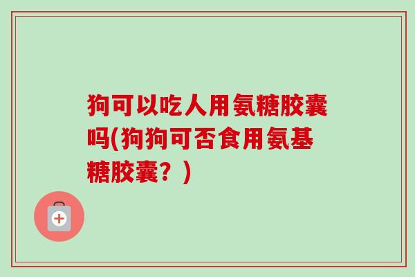 狗可以吃人用氨糖胶囊吗(狗狗可否食用氨基糖胶囊？)