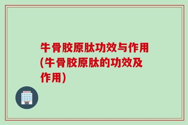 牛骨胶原肽功效与作用(牛骨胶原肽的功效及作用)