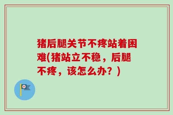 猪后腿关节不疼站着困难(猪站立不稳，后腿不疼，该怎么办？)