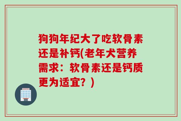 狗狗年纪大了吃软骨素还是补钙(老年犬营养需求：软骨素还是钙质更为适宜？)