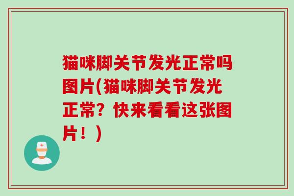 猫咪脚关节发光正常吗图片(猫咪脚关节发光正常？快来看看这张图片！)