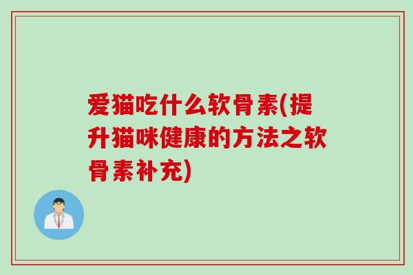 爱猫吃什么软骨素(提升猫咪健康的方法之软骨素补充)