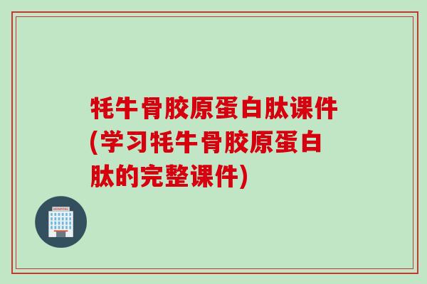 牦牛骨胶原蛋白肽课件(学习牦牛骨胶原蛋白肽的完整课件)