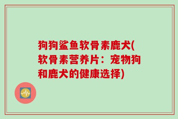 狗狗鲨鱼软骨素鹿犬(软骨素营养片：宠物狗和鹿犬的健康选择)