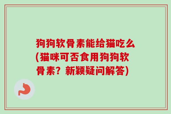 狗狗软骨素能给猫吃么(猫咪可否食用狗狗软骨素?新颖疑问解答) 狗狗软骨素能给猫吃么(猫咪可否食用狗狗软骨素?新颖疑问解答)