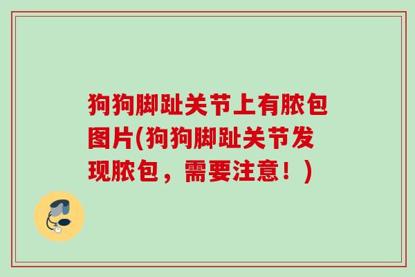 狗狗脚趾关节上有脓包图片(狗狗脚趾关节发现脓包，需要注意！)