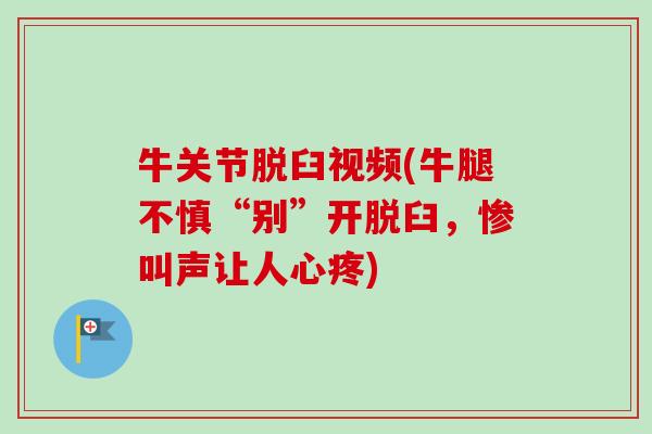 牛关节脱臼视频(牛腿不慎“别”开脱臼，惨叫声让人心疼)