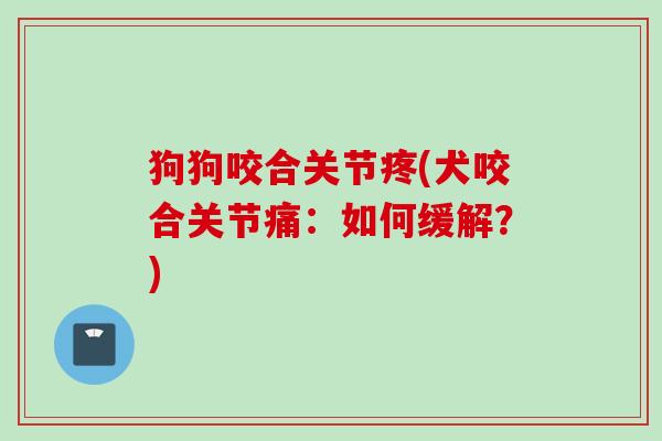 狗狗咬合关节疼(犬咬合关节痛：如何缓解？)