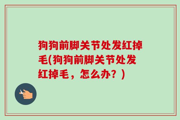 狗狗前脚关节处发红掉毛(狗狗前脚关节处发红掉毛，怎么办？)