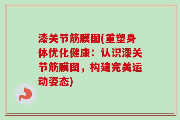 漆关节筋膜图(重塑身体优化健康：认识漆关节筋膜图，构建完美运动姿态)