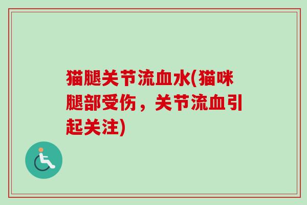 猫腿关节流血水(猫咪腿部受伤，关节流血引起关注)