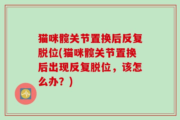 猫咪髋关节置换后反复脱位(猫咪髋关节置换后出现反复脱位，该怎么办？)