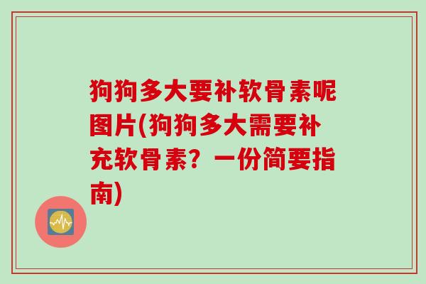 狗狗多大要补软骨素呢图片(狗狗多大需要补充软骨素？一份简要指南)