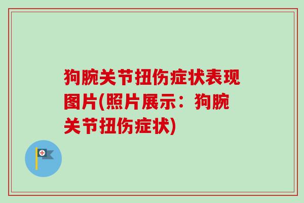 狗腕关节扭伤症状表现图片(照片展示：狗腕关节扭伤症状)