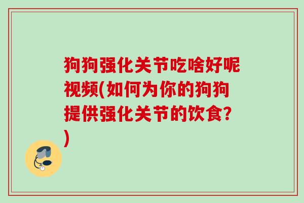 狗狗强化关节吃啥好呢视频(如何为你的狗狗提供强化关节的饮食？)