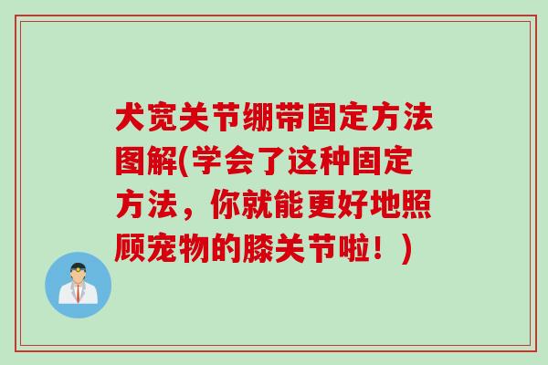 犬宽关节绷带固定方法图解(学会了这种固定方法，你就能更好地照顾宠物的膝关节啦！)