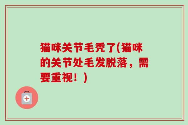 猫咪关节毛秃了(猫咪的关节处毛发脱落，需要重视！)
