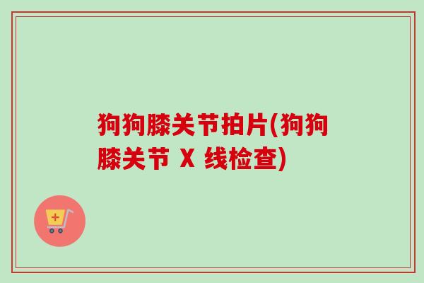 狗狗膝关节拍片(狗狗膝关节 X 线检查)