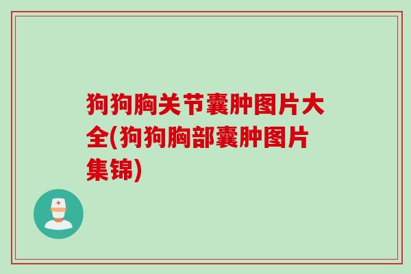 狗狗胸关节囊肿图片大全(狗狗胸部囊肿图片集锦)
