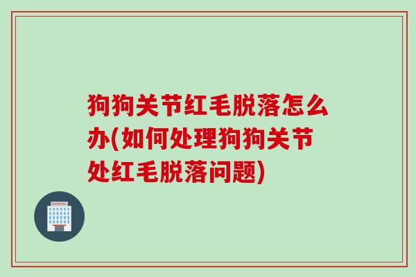 狗狗关节红毛脱落怎么办(如何处理狗狗关节处红毛脱落问题)