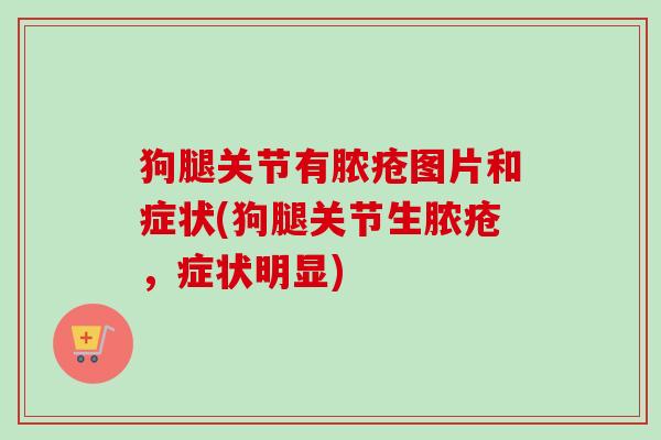 狗腿关节有脓疮图片和症状(狗腿关节生脓疮，症状明显)