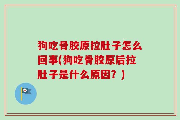 狗吃骨胶原拉肚子怎么回事(狗吃骨胶原后拉肚子是什么原因？)