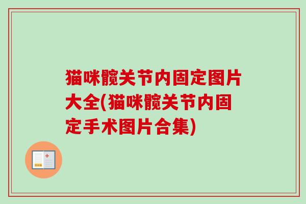 猫咪髋关节内固定图片大全(猫咪髋关节内固定手术图片合集)
