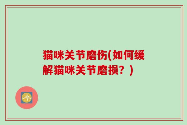 猫咪关节磨伤(如何缓解猫咪关节磨损？)