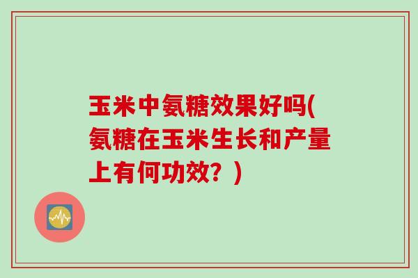 玉米中氨糖效果好吗(氨糖在玉米生长和产量上有何功效？)