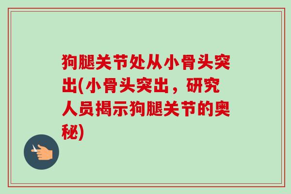 狗腿关节处从小骨头突出(小骨头突出，研究人员揭示狗腿关节的奥秘)
