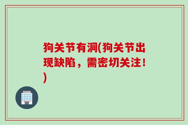 狗关节有洞(狗关节出现缺陷，需密切关注！)