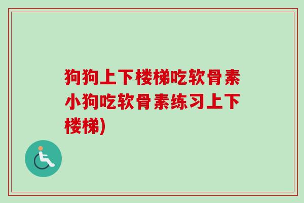 狗狗上下楼梯吃软骨素小狗吃软骨素练习上下楼梯)