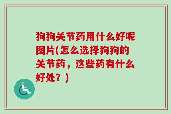 狗狗关节药用什么好呢图片(怎么选择狗狗的关节药，这些药有什么好处？)