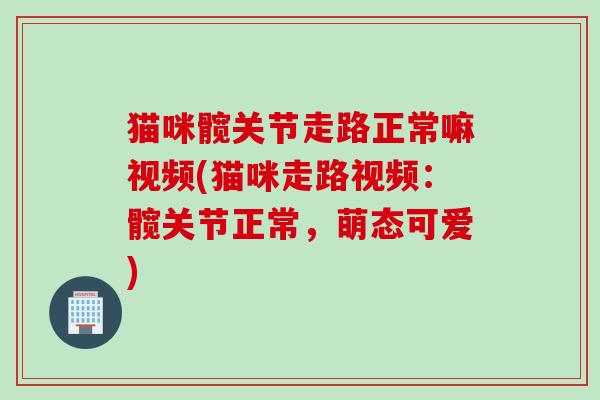 猫咪髋关节走路正常嘛视频(猫咪走路视频：髋关节正常，萌态可爱)