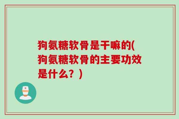 狗氨糖软骨是干嘛的(狗氨糖软骨的主要功效是什么？)