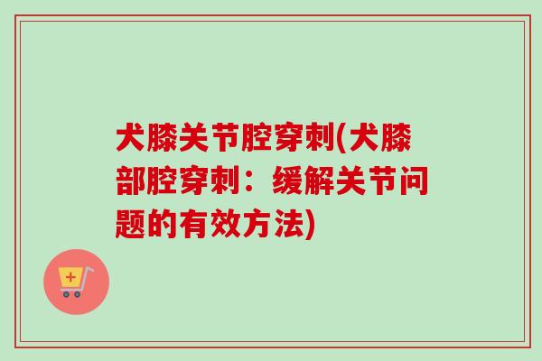 犬膝关节腔穿刺(犬膝部腔穿刺：缓解关节问题的有效方法)