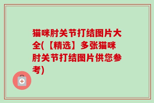 猫咪肘关节打结图片大全(【精选】多张猫咪肘关节打结图片供您参考)