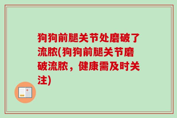 狗狗前腿关节处磨破了流脓(狗狗前腿关节磨破流脓，健康需及时关注)