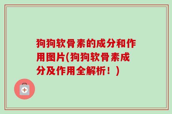狗狗软骨素的成分和作用图片(狗狗软骨素成分及作用全解析！)