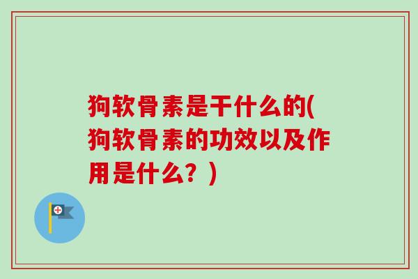 狗软骨素是干什么的(狗软骨素的功效以及作用是什么？)