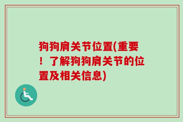狗狗肩关节位置(重要！了解狗狗肩关节的位置及相关信息)