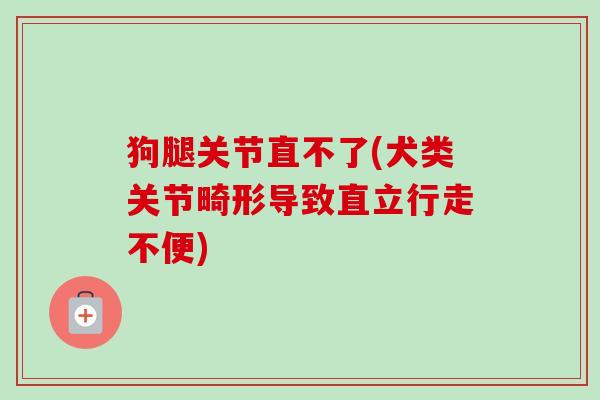 狗腿关节直不了(犬类关节畸形导致直立行走不便)