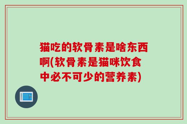 猫吃的软骨素是啥东西啊(软骨素是猫咪饮食中必不可少的营养素)