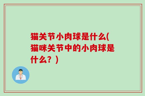 猫关节小肉球是什么(猫咪关节中的小肉球是什么？)