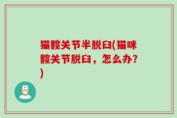 猫髋关节半脱臼(猫咪髋关节脱臼，怎么办？)